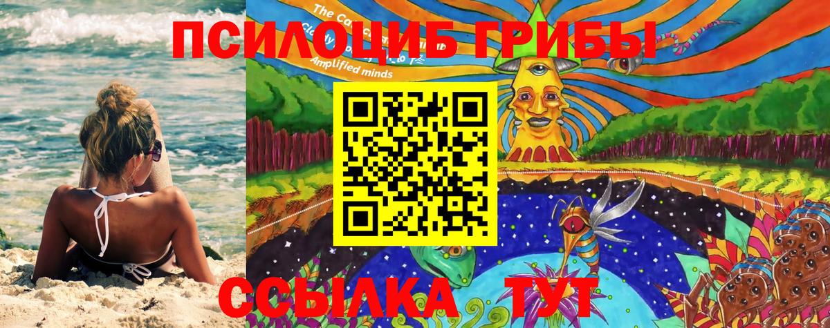 Псилоцибиновые грибы Psilocybe Хабаровск