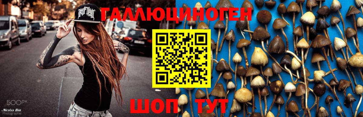 Псилоцибиновые грибы Magic Shrooms  Вход с VPN  Хабаровск 